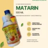 Matarin Insektisida Pembasmi Kutu Paling Efektif 500 mL