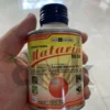 Matarin Insektisida Pembasmi Kutu Paling Efektif 80 mL