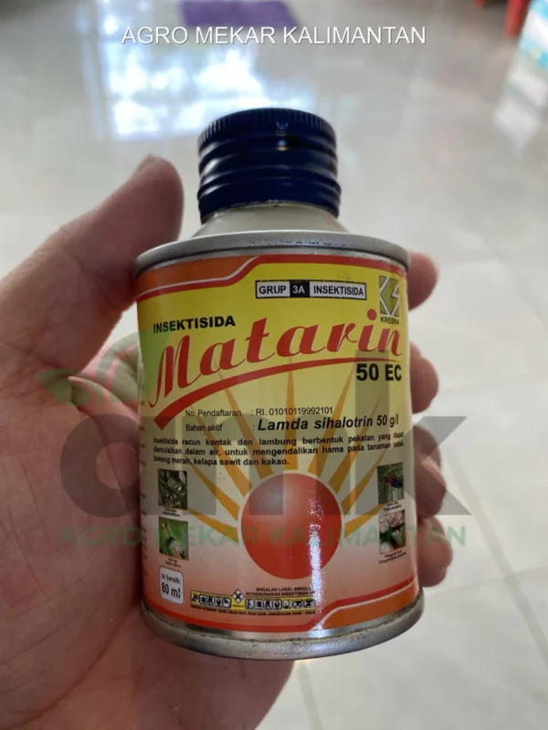 Matarin Insektisida Pembasmi Kutu Paling Efektif 80 mL