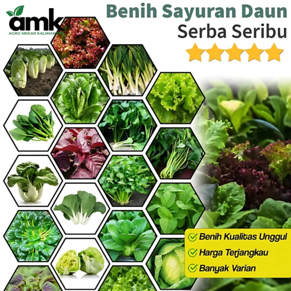 Bibit Benih Sayur Daun Bibit Sayur Kangkung Bayam Sawi dll