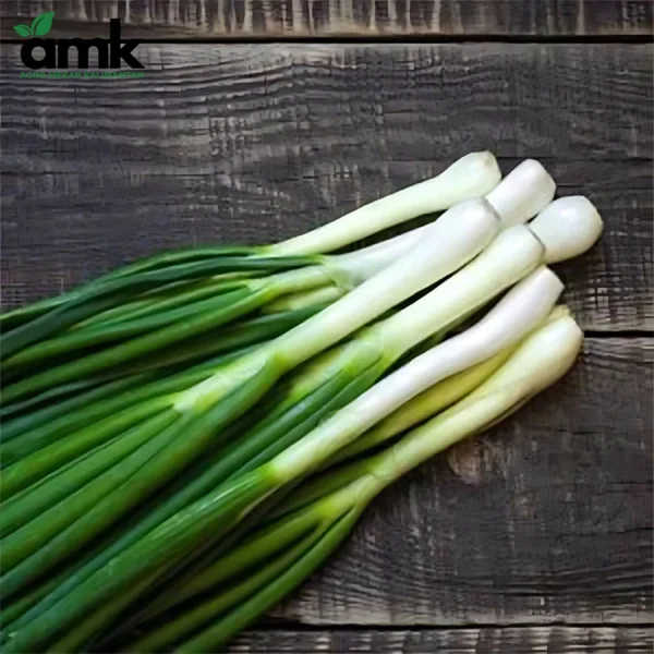 Bibit Benih Sayur Daun Bibit Sayur Kangkung Bayam Sawi dll