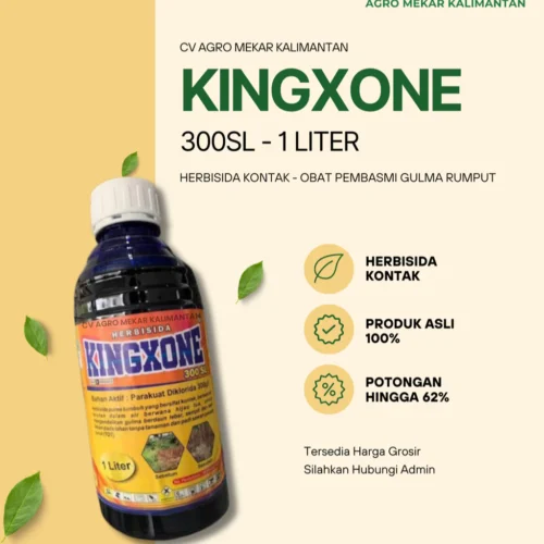 KINGXONE Herbisida Kontak Paraquat Diklorida 300 SL 1 Liter