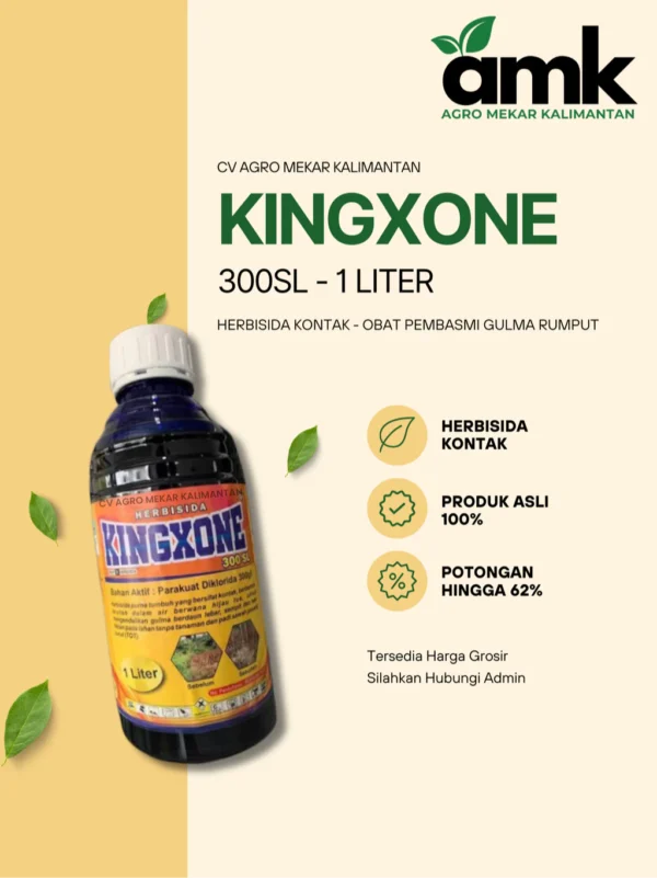 KINGXONE Herbisida Kontak Paraquat Diklorida 300 SL 1 Liter
