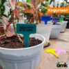 Purie Garden Label Tanaman Penanda Tanaman Name Tag Tanaman