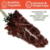 AGROPIN Media Tanam Coco Peat Cocopeat Mengembang 6x Dari Ukuran Semula TERLARIS
