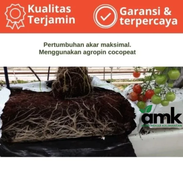 6 AGROPIN Media Tanam Cocopeat Mengembang 6x Dari Ukuran Semula