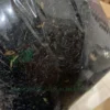 SEKAM BAKAR 1KG