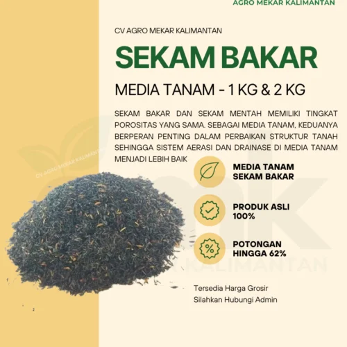 SEKAM BAKAR 1KG