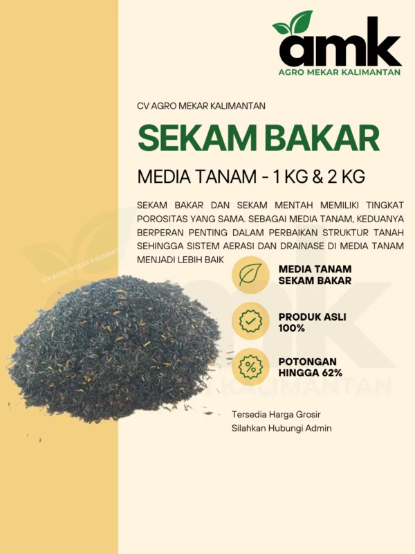 SEKAM BAKAR 1KG