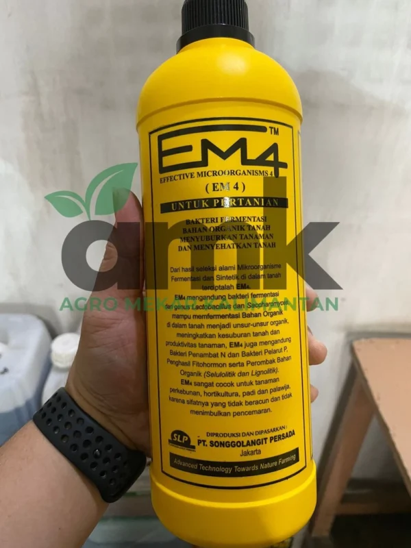 EM4 KUNING MOLASE