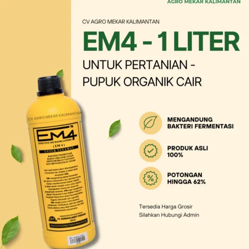 EM4 KUNING