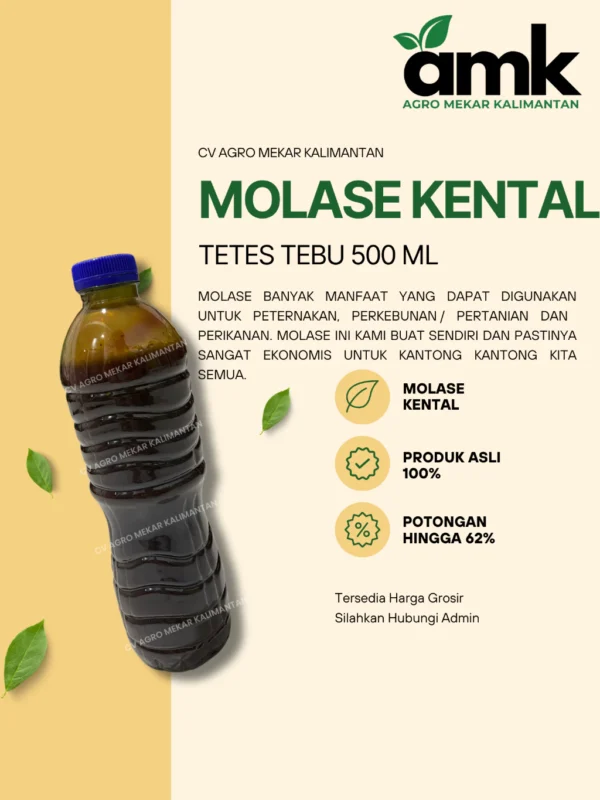 MOLASE 100ML