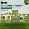 CPM AMARA ECERAN