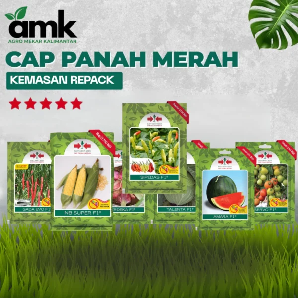 CPM AMARA ECERAN